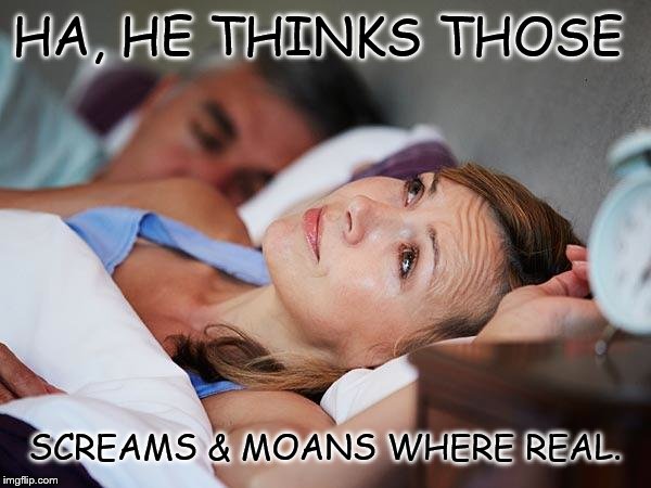 No Sex | HA, HE THINKS THOSE SCREAMS & MOANS WHERE REAL. | image tagged in no sex | made w/ Imgflip meme maker