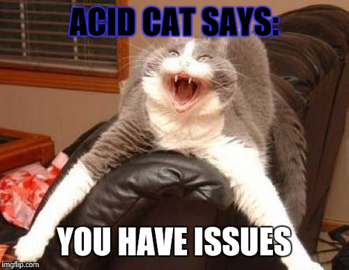 ACID CAT SAYS: YOU HAVE ISSUES | image tagged in acid cat | made w/ Imgflip meme maker