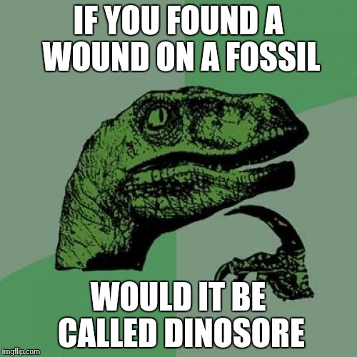 Philosoraptor | IF YOU FOUND A WOUND ON A FOSSIL WOULD IT BE CALLED DINOSORE | image tagged in memes,philosoraptor | made w/ Imgflip meme maker