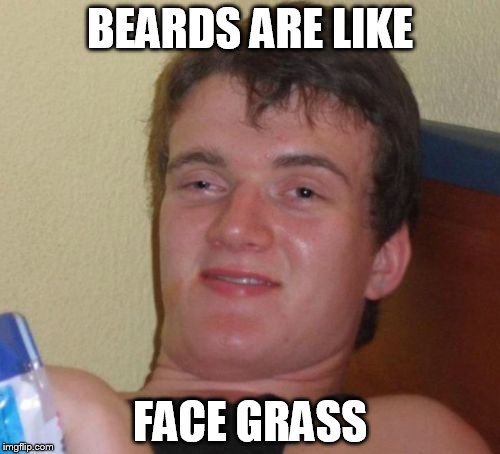 BEARD DEBATE RAGES ON | BEARDS ARE LIKE FACE GRASS | image tagged in memes,10 guy,beard,face grass | made w/ Imgflip meme maker