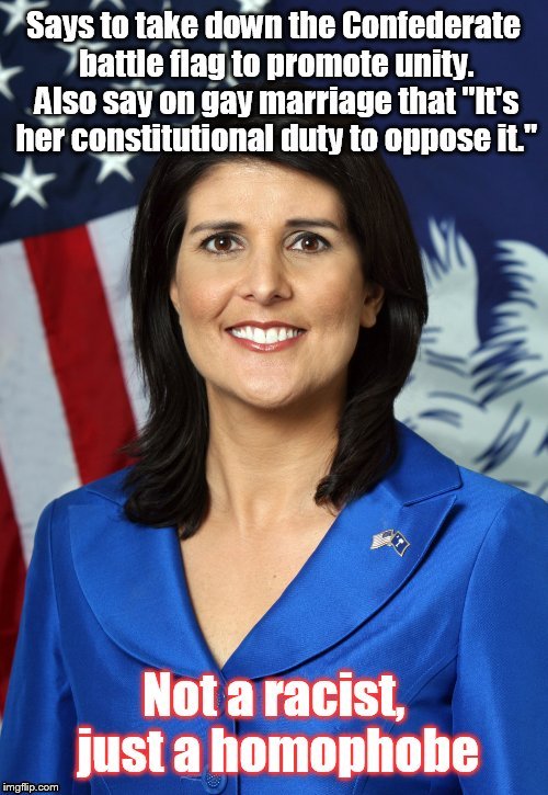 The esteemed governor of South Carolina Nikki Haley | image tagged in politics | made w/ Imgflip meme maker