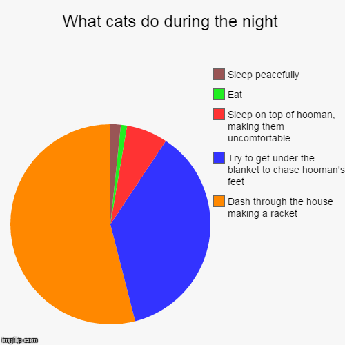 Cats part 2 | image tagged in funny,pie charts | made w/ Imgflip chart maker