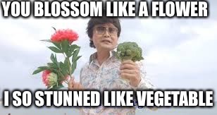 YOU BLOSSOM LIKE A FLOWER I SO STUNNED LIKE VEGETABLE | image tagged in i so stunned like vegetable | made w/ Imgflip meme maker