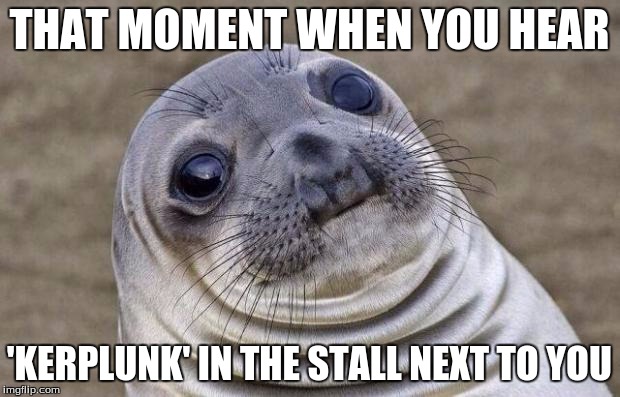 Awkward Moment Sealion | THAT MOMENT WHEN YOU HEAR 'KERPLUNK' IN THE STALL NEXT TO YOU | image tagged in memes,awkward moment sealion | made w/ Imgflip meme maker