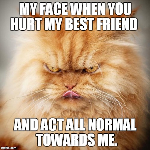Angry cat  | MY FACE WHEN YOU HURT MY BEST FRIEND AND ACT ALL NORMAL TOWARDS ME. | image tagged in angry cat | made w/ Imgflip meme maker