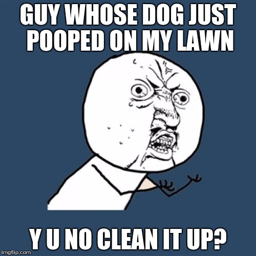 Y U No | GUY WHOSE DOG JUST POOPED ON MY LAWN Y U NO CLEAN IT UP? | image tagged in memes,y u no | made w/ Imgflip meme maker