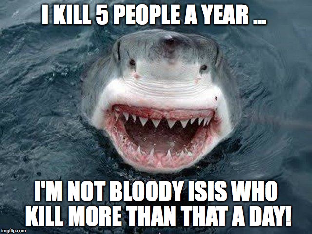 I kill 5 people a day | I KILL 5 PEOPLE A YEAR ... I'M NOT BLOODY ISIS WHO KILL MORE THAN THAT A DAY! | image tagged in shark,isis | made w/ Imgflip meme maker