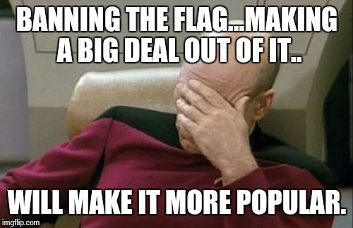 Captain Picard Facepalm Meme | BANNING THE FLAG...MAKING A BIG DEAL OUT OF IT.. WILL MAKE IT MORE POPULAR. | image tagged in memes,captain picard facepalm | made w/ Imgflip meme maker