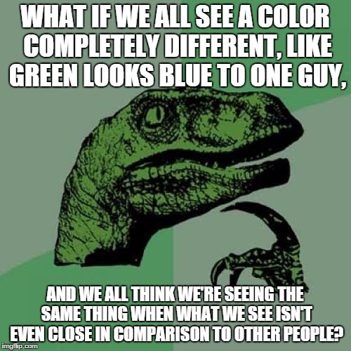 Philosoraptor Meme | WHAT IF WE ALL SEE A COLOR COMPLETELY DIFFERENT, LIKE GREEN LOOKS BLUE TO ONE GUY, AND WE ALL THINK WE'RE SEEING THE SAME THING WHEN WHAT WE | image tagged in memes,philosoraptor | made w/ Imgflip meme maker
