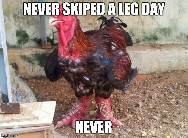 NEVER SKIPED A LEG DAY NEVER | image tagged in legday | made w/ Imgflip meme maker
