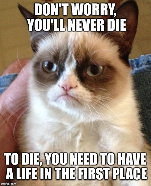Say this to old people you don't like | DON'T WORRY, YOU'LL NEVER DIE TO DIE, YOU NEED TO HAVE A LIFE IN THE FIRST PLACE | image tagged in memes,grumpy cat | made w/ Imgflip meme maker