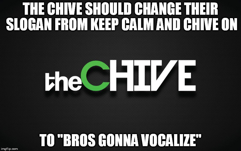 THE CHIVE SHOULD CHANGE THEIR SLOGAN FROM KEEP CALM AND CHIVE ON TO "BROS GONNA VOCALIZE" | image tagged in thechive | made w/ Imgflip meme maker