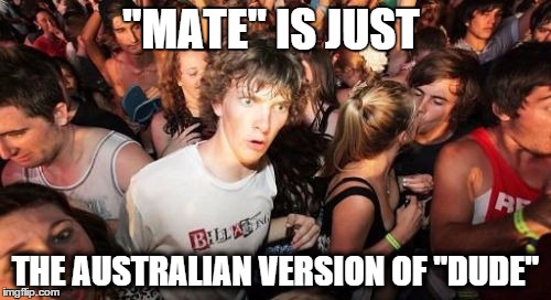 Sudden Clarity Clarence | "MATE" IS JUST THE AUSTRALIAN VERSION OF "DUDE" | image tagged in memes,sudden clarity clarence,bad luck brian,batman slapping robin,boardroom meeting suggestion,pie charts | made w/ Imgflip meme maker
