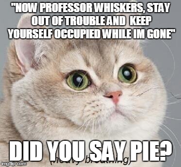 Heavy Breathing Cat | "NOW PROFESSOR WHISKERS, STAY OUT OF TROUBLE AND  KEEP YOURSELF OCCUPIED WHILE IM GONE" DID YOU SAY PIE? | image tagged in memes,heavy breathing cat | made w/ Imgflip meme maker