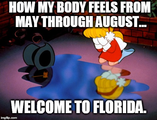 HOW MY BODY FEELS FROM MAY THROUGH AUGUST... WELCOME TO FLORIDA. | image tagged in frosty,florida,hot | made w/ Imgflip meme maker