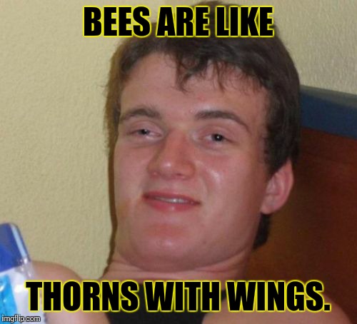 10 Guy Meme | BEES ARE LIKE THORNS WITH WINGS. | image tagged in memes,10 guy | made w/ Imgflip meme maker