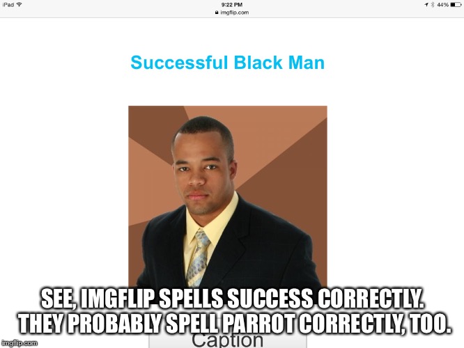 SEE, IMGFLIP SPELLS SUCCESS CORRECTLY.  THEY PROBABLY SPELL PARROT CORRECTLY, TOO. | made w/ Imgflip meme maker