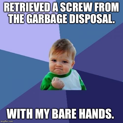 Success Kid | RETRIEVED A SCREW FROM THE GARBAGE DISPOSAL. WITH MY BARE HANDS. | image tagged in memes,success kid,AdviceAnimals | made w/ Imgflip meme maker