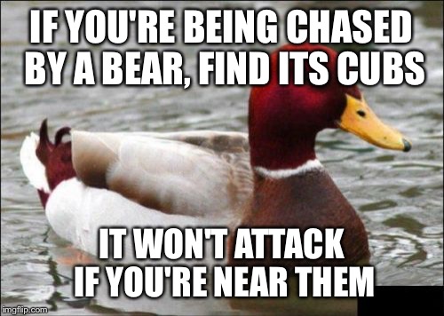 Malicious Advice Mallard Meme | IF YOU'RE BEING CHASED BY A BEAR, FIND ITS CUBS IT WON'T ATTACK IF YOU'RE NEAR THEM | image tagged in memes,malicious advice mallard | made w/ Imgflip meme maker