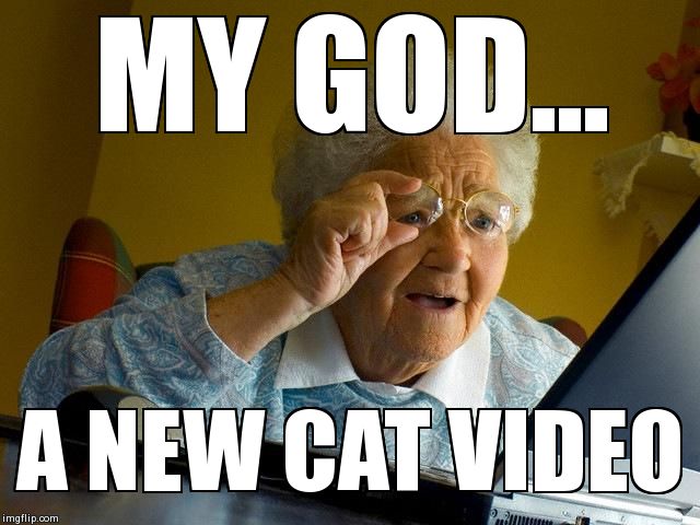 Grandma Finds The Internet | MY GOD... A NEW CAT VIDEO | image tagged in memes,grandma finds the internet | made w/ Imgflip meme maker