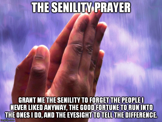 faprayer | THE SENILITY PRAYER GRANT ME THE SENILITY TO FORGET THE PEOPLEI NEVER LIKED ANYWAY,THE GOOD FORTUNE TO RUN INTO THE ONES I DO, ANDTHE EYE | image tagged in faprayer | made w/ Imgflip meme maker