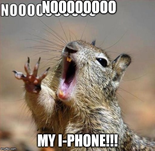 noooooooooooooooooooooooo | NOOOOOOOO MY I-PHONE!!! | image tagged in noooooooooooooooooooooooo | made w/ Imgflip meme maker