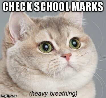 When I see I've done good | CHECK SCHOOL MARKS | image tagged in memes,heavy breathing cat,school,marks | made w/ Imgflip meme maker