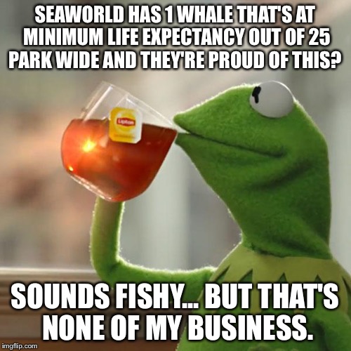 But That's None Of My Business | SEAWORLD HAS 1 WHALE THAT'S AT MINIMUM LIFE EXPECTANCY OUT OF 25 PARK WIDE AND THEY'RE PROUD OF THIS? SOUNDS FISHY...
BUT THAT'S NONE OF MY  | image tagged in memes,but thats none of my business,kermit the frog | made w/ Imgflip meme maker