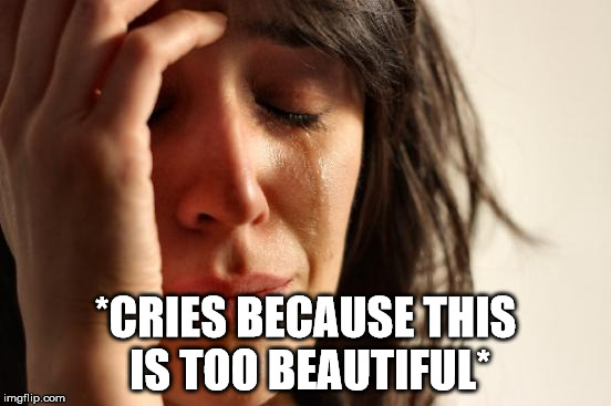 First World Problems Meme | *CRIES BECAUSE THIS IS TOO BEAUTIFUL* | image tagged in memes,first world problems | made w/ Imgflip meme maker