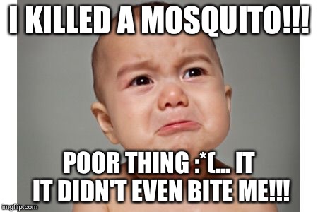 I KILLED A MOSQUITO!!! POOR THING :*(... IT IT DIDN'T EVEN BITE ME!!! | image tagged in baby,mosquito,stupid | made w/ Imgflip meme maker