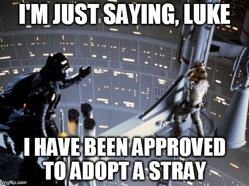 Luke skywalker and Darth Vader | I'M JUST SAYING, LUKE I HAVE BEEN APPROVED TO ADOPT A STRAY | image tagged in luke skywalker and darth vader | made w/ Imgflip meme maker