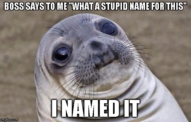 He didn't know who did either... | BOSS SAYS TO ME "WHAT A STUPID NAME FOR THIS" I NAMED IT | image tagged in memes,awkward moment sealion | made w/ Imgflip meme maker