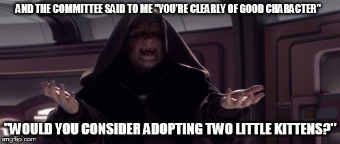 Darth Sidious | AND THE COMMITTEE SAID TO ME "YOU'RE CLEARLY OF GOOD CHARACTER" "WOULD YOU CONSIDER ADOPTING TWO LITTLE KITTENS?" | image tagged in darth sidious | made w/ Imgflip meme maker