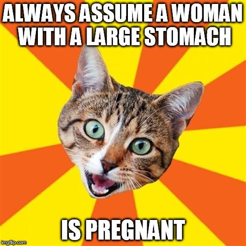 Bad Advice Cat | ALWAYS ASSUME A WOMAN WITH A LARGE STOMACH IS PREGNANT | image tagged in memes,bad advice cat | made w/ Imgflip meme maker