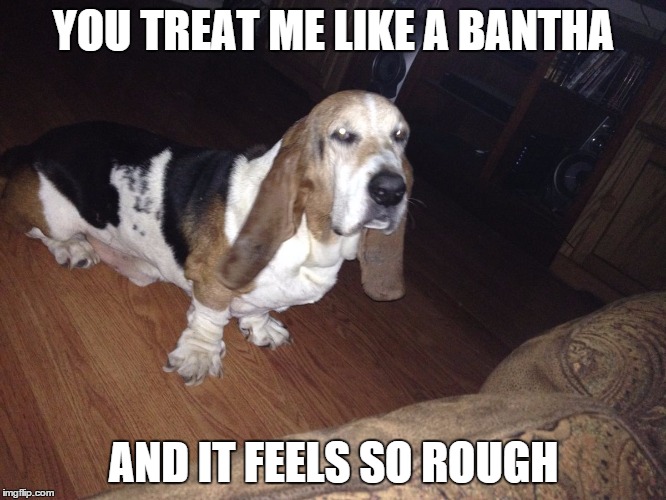 YOU TREAT ME LIKE A BANTHA AND IT FEELS SO ROUGH | image tagged in elvis,star wars | made w/ Imgflip meme maker