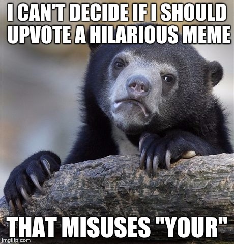 I don't know why you do this, scumbag brain... | I CAN'T DECIDE IF I SHOULD UPVOTE A HILARIOUS MEME THAT MISUSES "YOUR" | image tagged in memes,confession bear | made w/ Imgflip meme maker