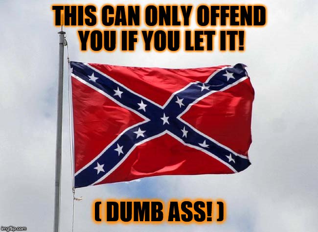 Rebellion  | THIS CAN ONLY OFFEND YOU IF YOU LET IT! ( DUMB ASS! ) | image tagged in rebel,rebellion,civil rights,freedom,freedom of expression,equality | made w/ Imgflip meme maker