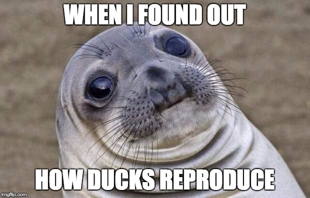 I advise you not to look it up. Which means that, by nature of the teenage boy's brain, the majority of you will. | WHEN I FOUND OUT HOW DUCKS REPRODUCE | image tagged in memes,awkward moment sealion | made w/ Imgflip meme maker