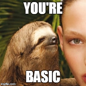 Whisper Sloth Meme | YOU'RE BASIC | image tagged in memes,whisper sloth | made w/ Imgflip meme maker