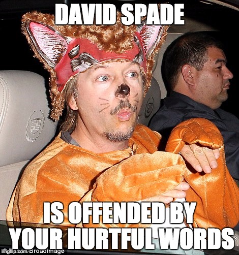 DAVID SPADE IS OFFENDED BY YOUR HURTFUL WORDS | made w/ Imgflip meme maker