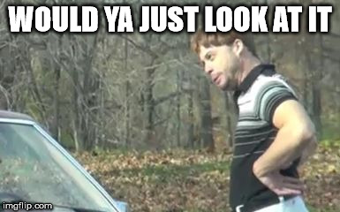 ed bassmaster would y alook at that | WOULD YA JUST LOOK AT IT | image tagged in ed bassmaster would y alook at that | made w/ Imgflip meme maker