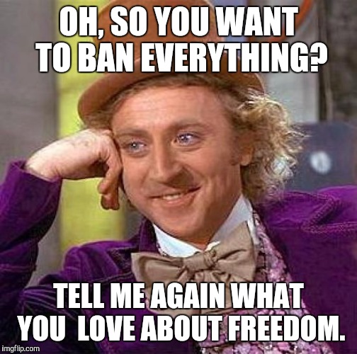 Creepy Condescending Wonka | OH, SO YOU WANT TO BAN EVERYTHING? TELL ME AGAIN WHAT YOU  LOVE ABOUT FREEDOM. | image tagged in memes,creepy condescending wonka | made w/ Imgflip meme maker