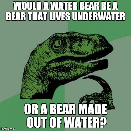 Philosoraptor Meme | WOULD A WATER BEAR BE A BEAR THAT LIVES UNDERWATER OR A BEAR MADE OUT OF WATER? | image tagged in memes,philosoraptor | made w/ Imgflip meme maker