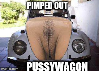 PIMPED PUSSYWAGON | PIMPED OUT PUSSYWAGON | image tagged in pimped,pussy,volkswagon | made w/ Imgflip meme maker