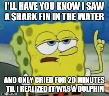 I'll Have You Know Spongebob | I'LL HAVE YOU KNOW I SAW A SHARK FIN IN THE WATER AND ONLY CRIED FOR 20 MINUTES TIL I REALIZED IT WAS A DOLPHIN | image tagged in memes,ill have you know spongebob | made w/ Imgflip meme maker