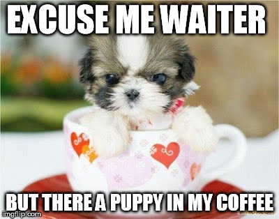 Cup of Coffee | EXCUSE ME WAITER BUT THERE A PUPPY IN MY COFFEE | image tagged in puppy,cute puppies,coffee | made w/ Imgflip meme maker