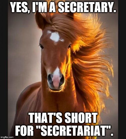 Horse | YES, I'M A SECRETARY. THAT'S SHORT FOR "SECRETARIAT". | image tagged in horse | made w/ Imgflip meme maker
