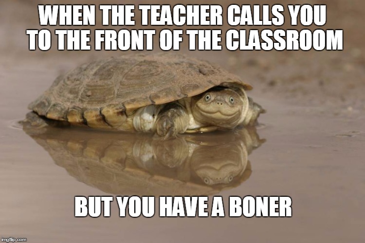 WHEN THE TEACHER CALLS YOU TO THE FRONT OF THE CLASSROOM BUT YOU HAVE A BONER | image tagged in sex,funny,boners,dick,funny memes,male whores | made w/ Imgflip meme maker