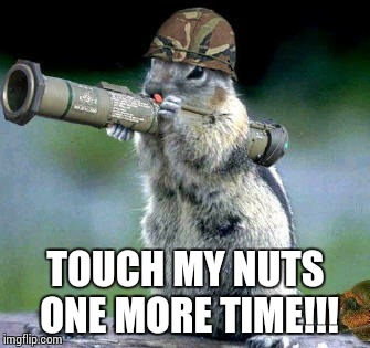 Bazooka Squirrel | TOUCH MY NUTS ONE MORE TIME!!! | image tagged in memes,bazooka squirrel | made w/ Imgflip meme maker