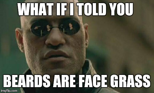 Matrix Morpheus Meme | WHAT IF I TOLD YOU BEARDS ARE FACE GRASS | image tagged in memes,matrix morpheus | made w/ Imgflip meme maker
